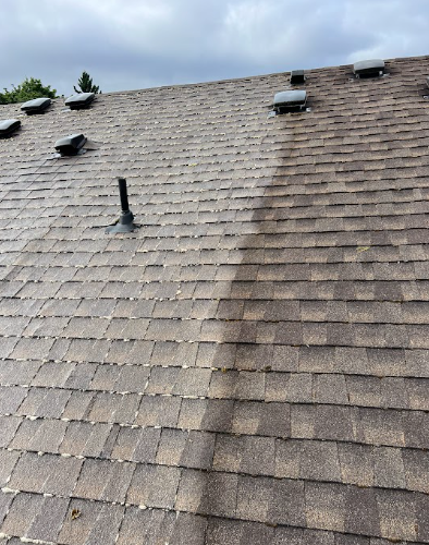 roof cleaning.png