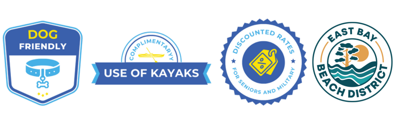 Untitled design (51).png