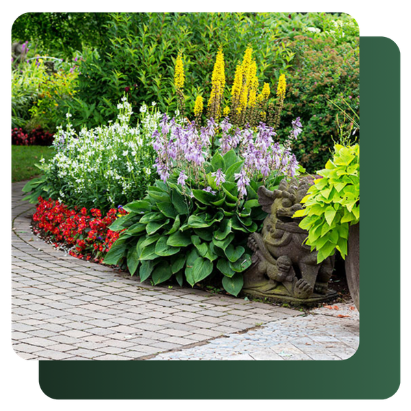 Softscaping and Garden Design image 2.png