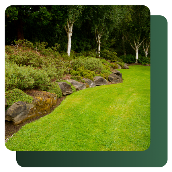 Softscaping and Garden Design image 4.png