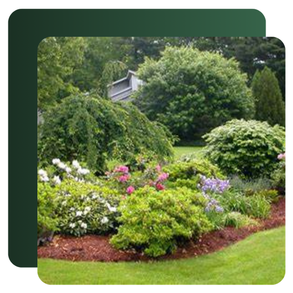 Softscaping and Garden Design image 1.png