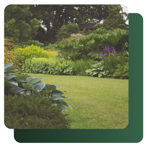 Softscaping and Garden Design image 4.png