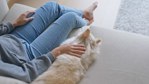 person sitting on couch with a dog