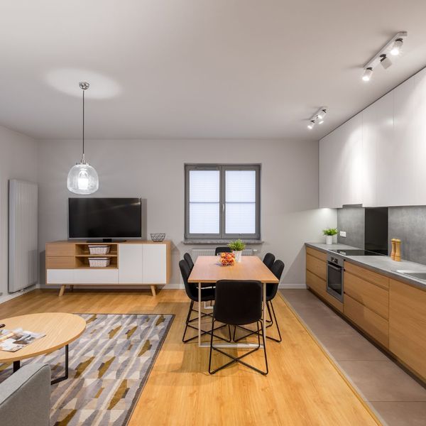an optimized apartment living room and kitchen with an open concept 