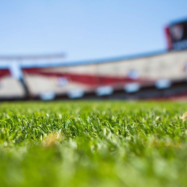 4What's Involved in the Artificial Turf Grass Installation Process.jpg