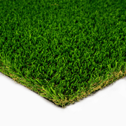 everglade-spring-pro-shot-1.png