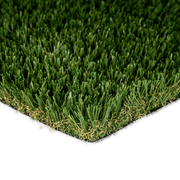 everglade-fescue-shot-1.png