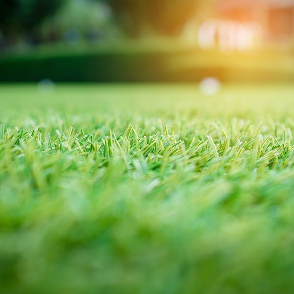 AdobeStock_172040302.jpeg