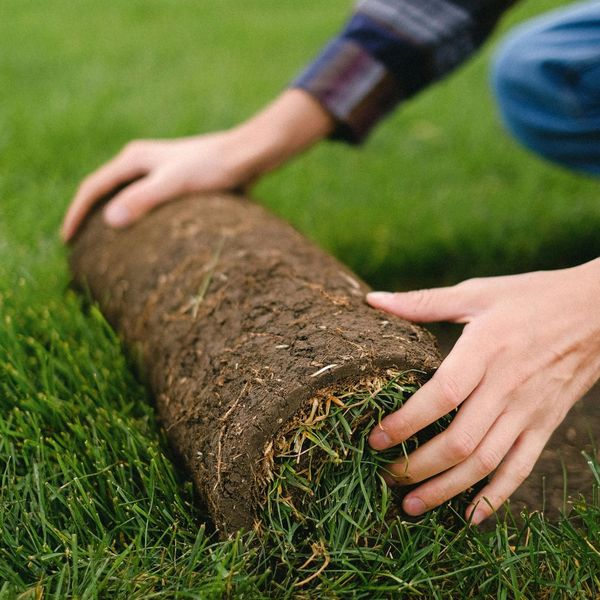 1What's Involved in the Artificial Turf Grass Installation Process.jpg