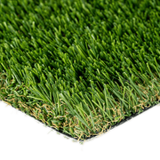 cascade-fescue-light-shot-1.png