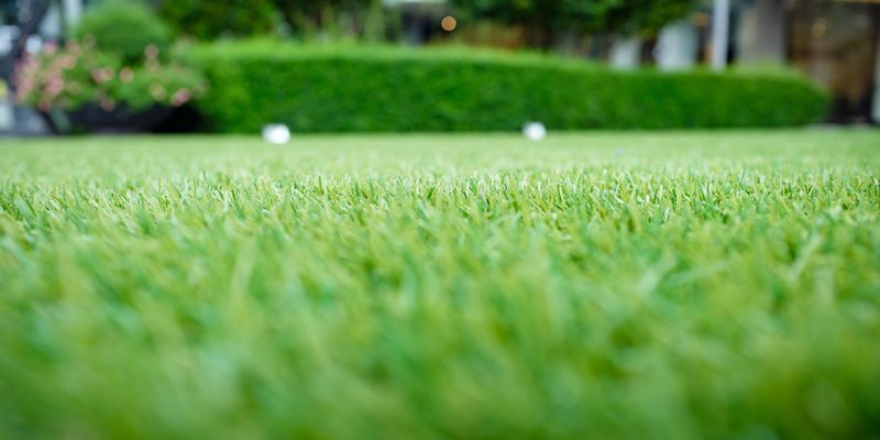 AdobeStock_172528500.jpeg