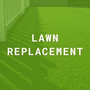 lawn replacement