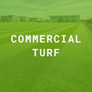 commercial turf