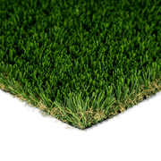 diamond-pro-spring-shot-1.png