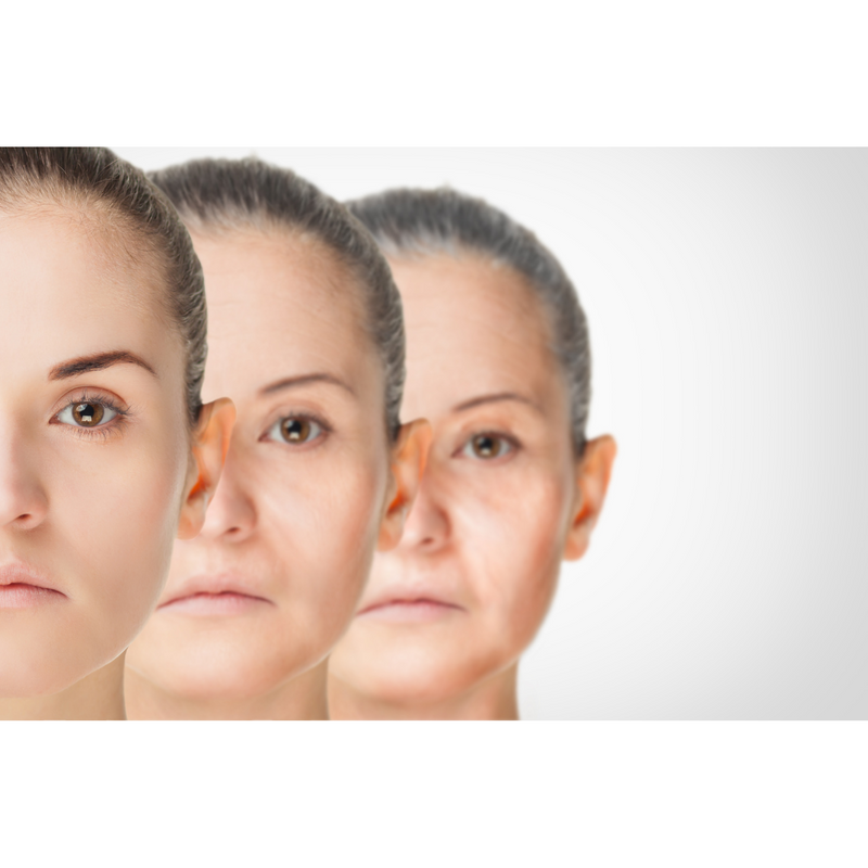 Untitled design - 2023-03-24T055957.345.png