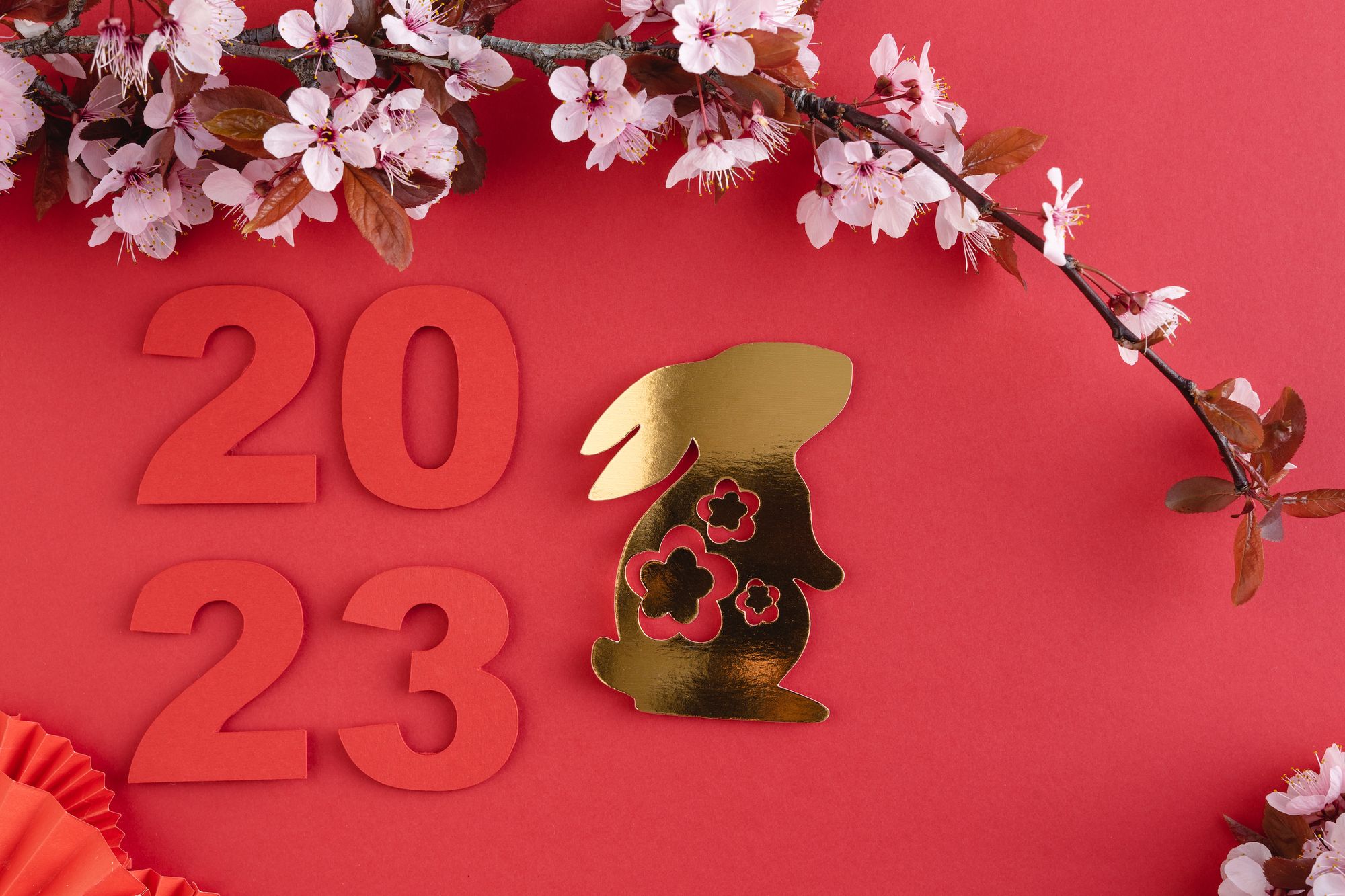chinese-new-year-year-rabbit-red-background-with-golden-rabbit-cut-paper-decoration-copy-space (1).jpg