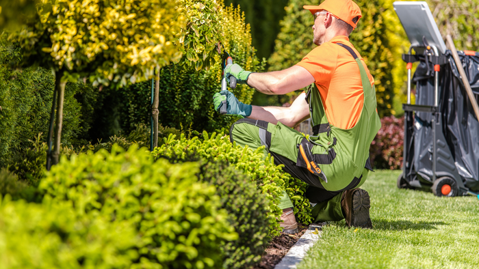 Landscaping.png