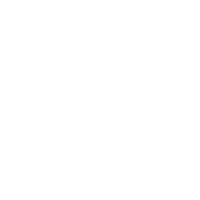 Custom-Centric Approach.png