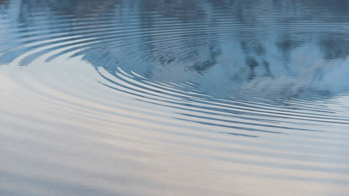 The Ripple Effect .jpg