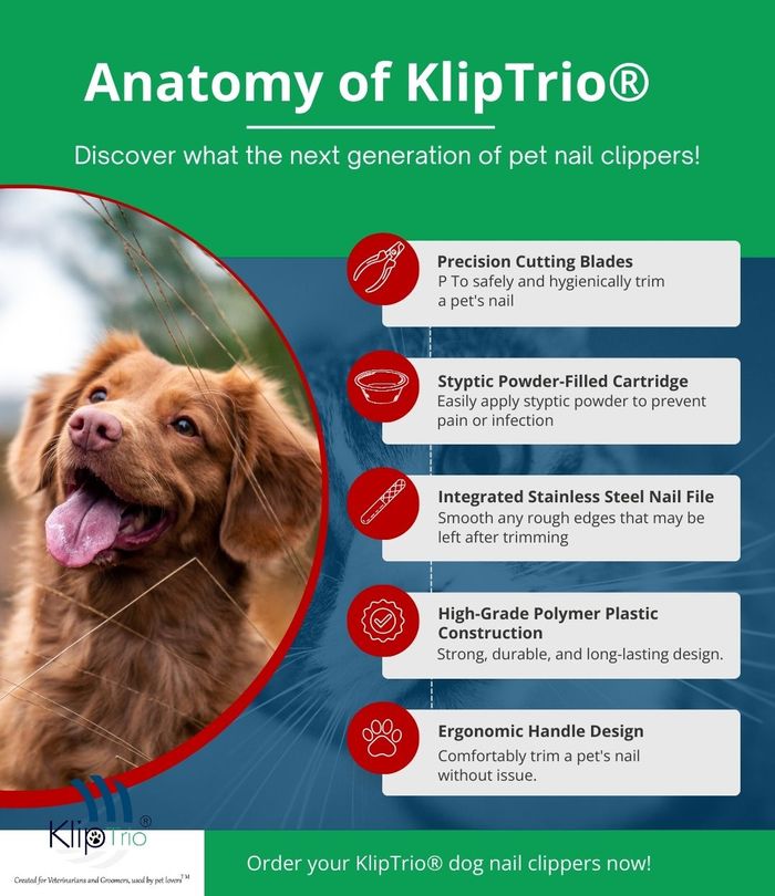 IG Anatomy of KlipTrio.jpg