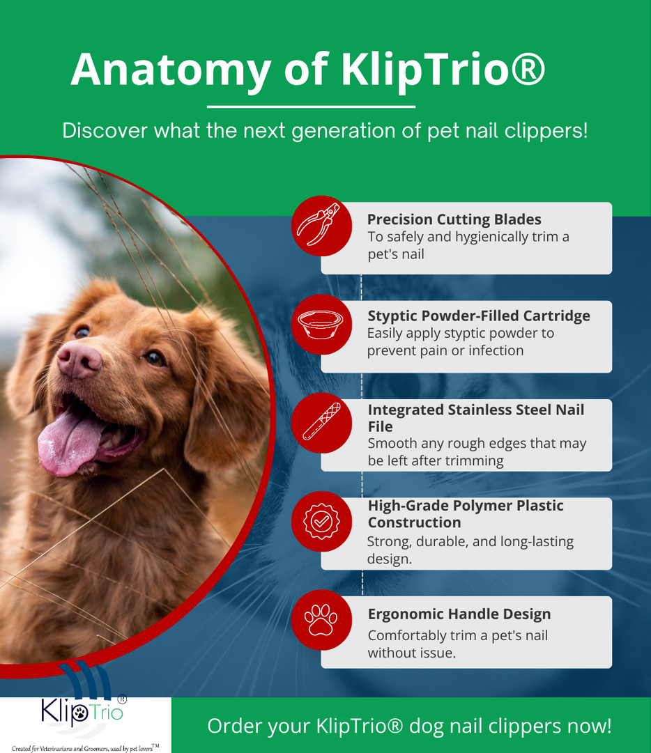 Anatomy of KlipTrio - infographic.png