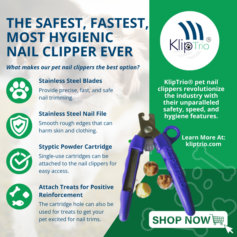 The Ultimate Guide to Choosing the Right Nail Clipper - Matgicol