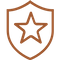 icon - shield and star