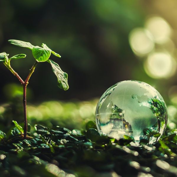 plant sprout and water droplet with a map overlay