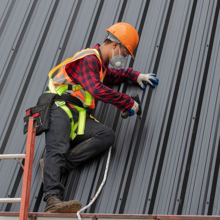 Roofing contractor installing a metal roof. 