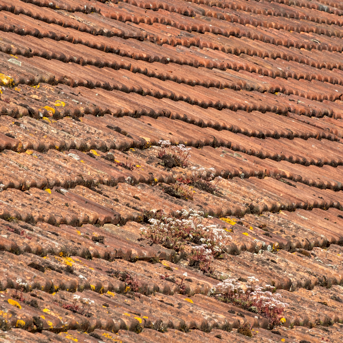 sagging roof