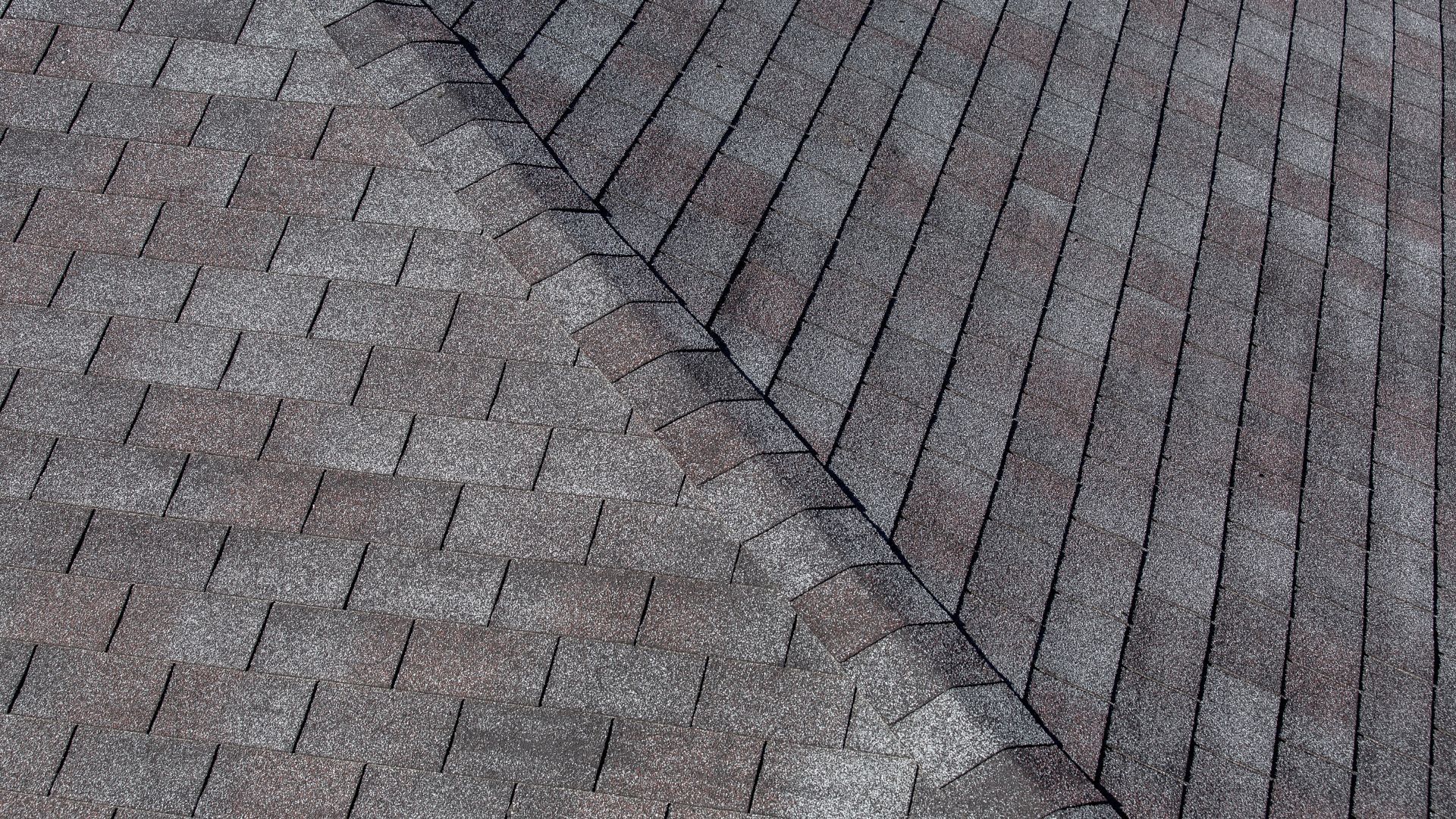 C1628 - Influence Roofing - Why You Should Not Fix Your Roof Yourself - Hero Image.jpg