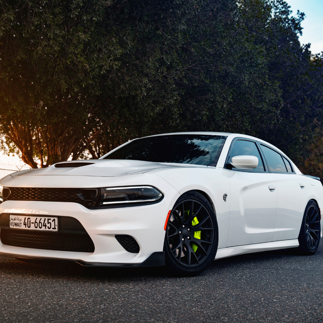 Copy of WS Hero (3).png