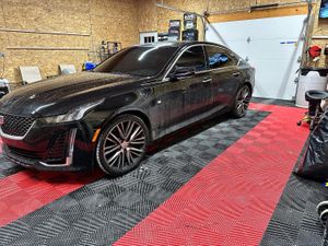 Gallery Images (7).jpg