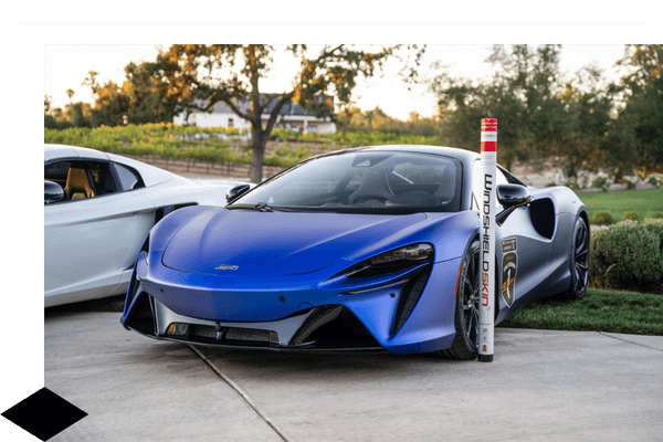 blue sports car with windshield skin