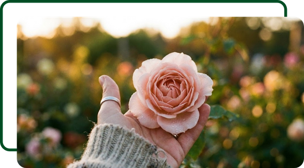 Hand holding a flower