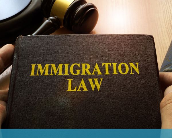 Immigration law book