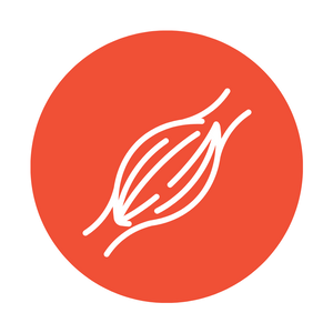 PT icons (2).png