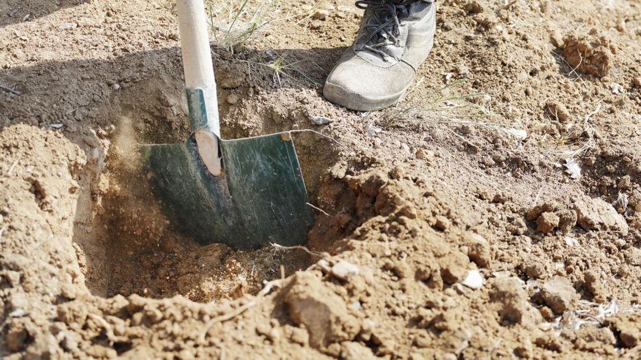 Gardener digging in the ground