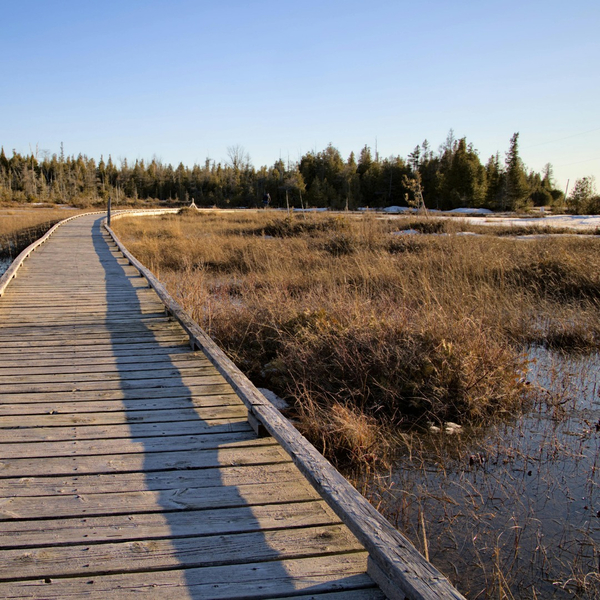 Areas We Serve - Image 3.jpg