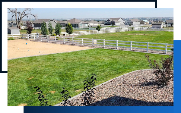 image of a mowed lawn