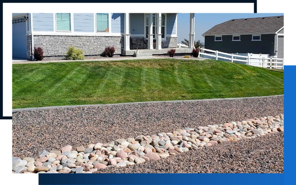 image of a landscaped yard