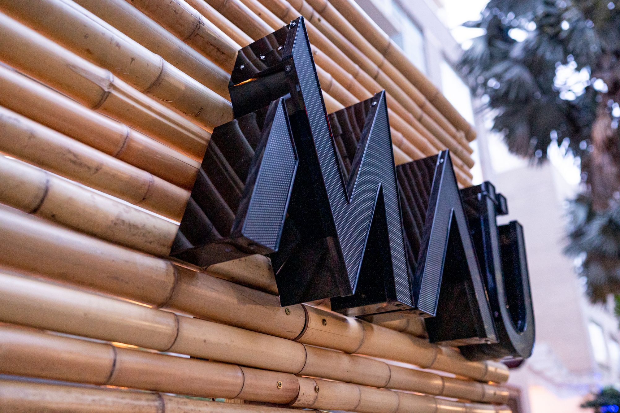 Copy of MauDec20-8089.jpg