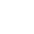 shield icon