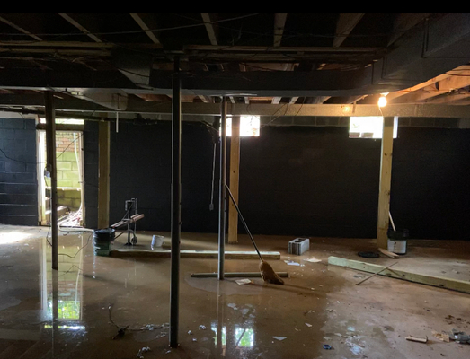 Walnut basement before2.jpeg