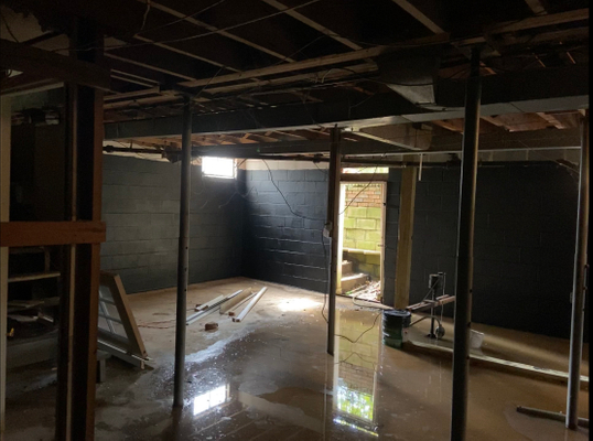 Walnut basement before.jpeg