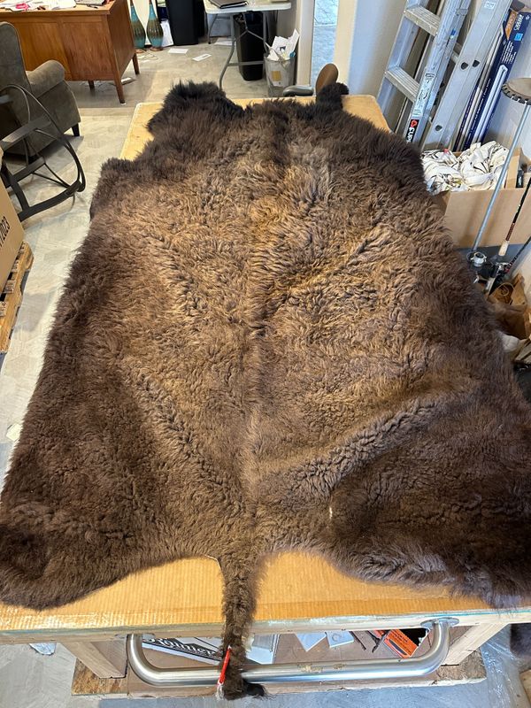 For size reference, hides are photographed on an 8-foot-tall by 4-foot-wide table.   T0104.jpg