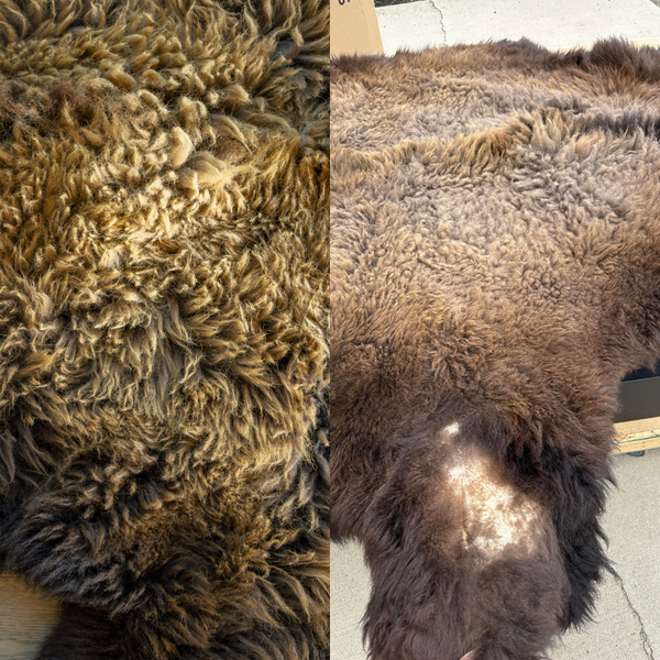 M149127 - Front Range Buffalo Company - BlogBlitz Images (2).png