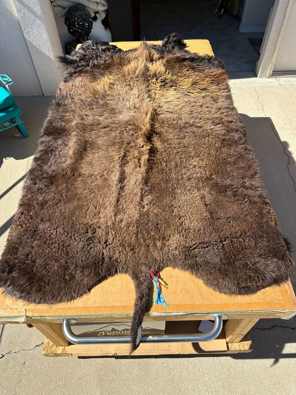 For size reference, hides are photographed on an 8-foot-tall by 4-foot-wide table.   T0127.jpg
