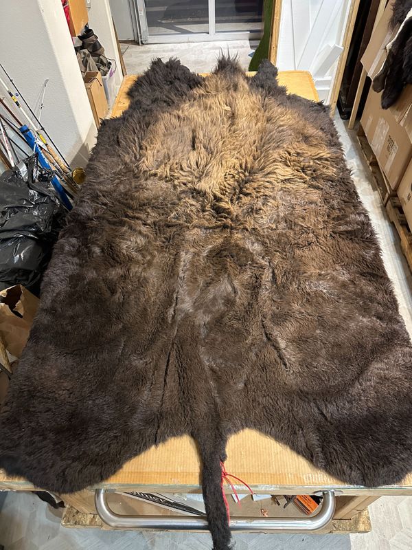 For size reference, hides are photographed on an 8-foot-tall by 4-foot-wide table.  D0111.jpg