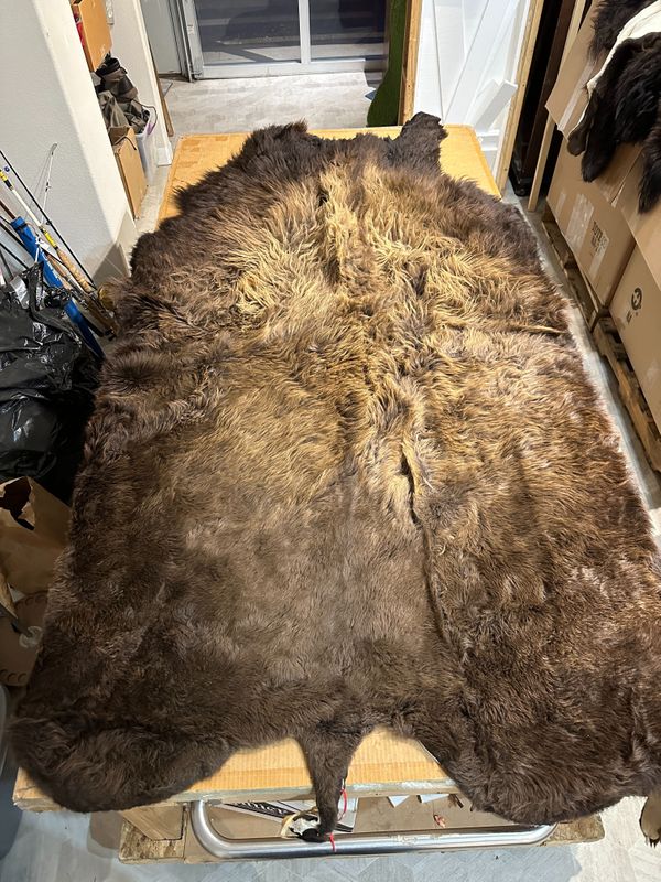 For size reference, hides are photographed on an 8-foot-tall by 4-foot-wide table.   T0108.jpg